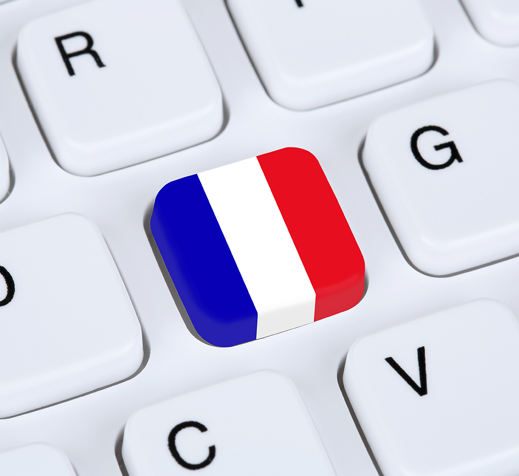 Formation Reflex'Français (C1/C2) - Langues